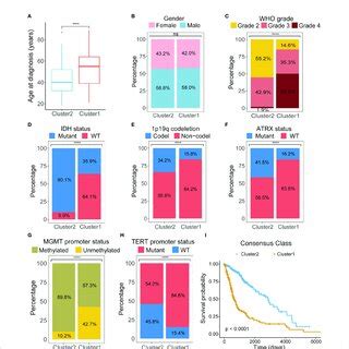 Comparison Of Clinicopathological Characteristics Between Two Clusters