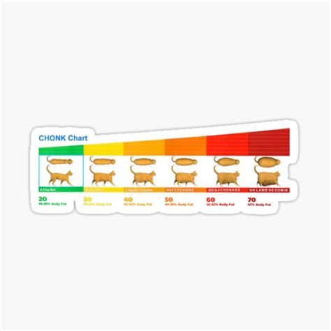 Cat Chonk Chart