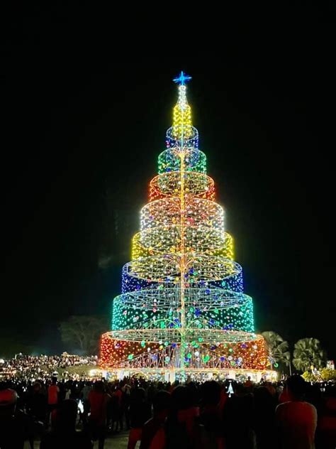 The Tallest Christmas Tree In The World