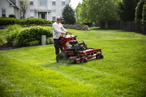 Your Essential Guide to Lawn Care in Northern Virginia