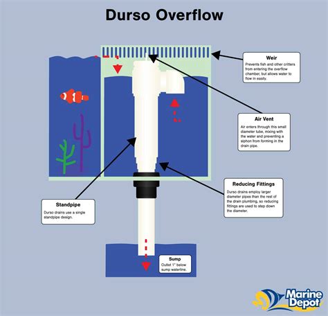 How Durso Herbie And Bean Animal Overflows Work Bulk Reef Supply