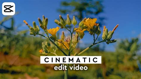 Cara Edit Video Cinematic Di Capcut Dj Close Your Eyes YouTube