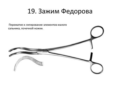 Перечень инструментов на конкурс: ”Знание хирургических инструментов ...