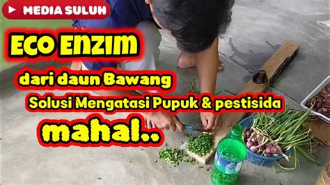 Cara Membuat Eco Enzim Dari Daun Bawang YouTube