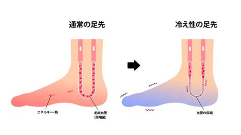 【手足の指先が冷たい末端冷え性を改善】全身の血液を促進！内側からポカポカになる「ねじりヨガ」 ヨガジャーナルオンライン