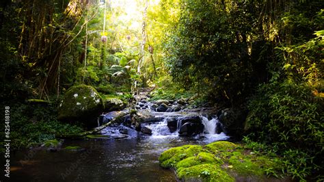 unique scenery of lamington national park on the path to larapinta ...