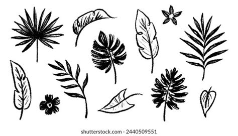 Palm Leaf Hand Drawn Crayon Brush Stock Vector Royalty Free