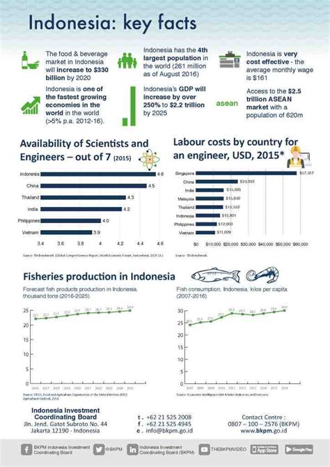 Pourquoi investir en indonésie Sibonmentawai