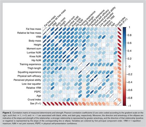 Factores determinantes biomecánicos antropométricos y psicológicos de