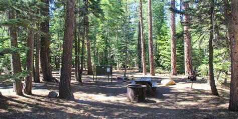 Sugar Pine Campground Map