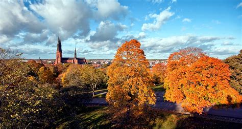 Uppsala Sweden Scenic - Free photo on Pixabay - Pixabay