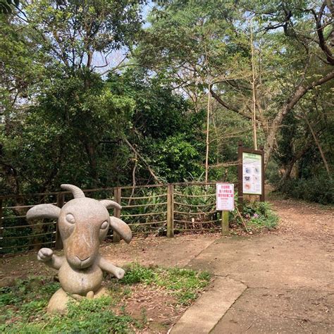 【桃園 臺灣百大必訪步道】春遊桃園蘆竹羊稠森林步道 健行筆記