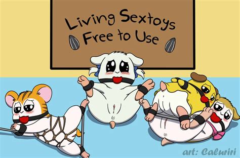 Rule 34 2019 Anus Ball Gag Bijou Hamtaro Blush Bondage Bondage Bound Brown Body Brown Fur