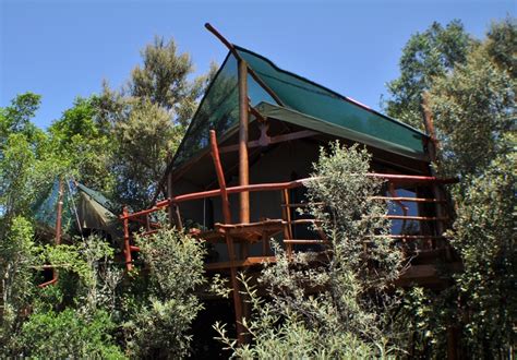 Teniqua Treetops Knysna