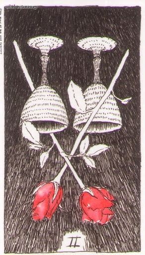 Two Of Cups Wild Unknown Tarot Card Meanings Tarotx