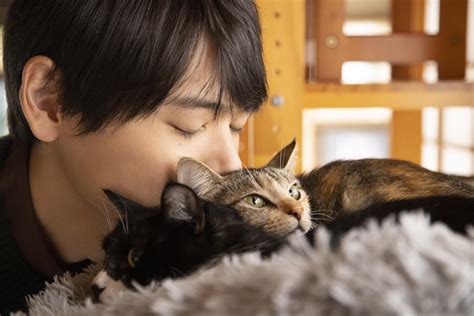 （写真）古川雄輝「僕レベルだとまだニワカ」 猫好き主人公にほっこり『ねこ物件』場面写真解禁 ドラマ ニュース ｜クランクイン！