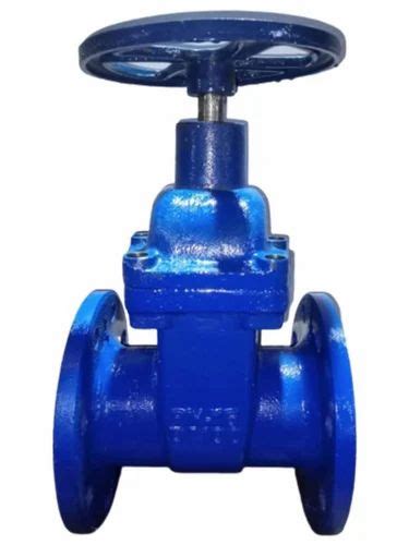 Stainless Steel Ss Globe Valve Test Pressure 10psi Size 150mm At Rs 16000 In Ahmedabad