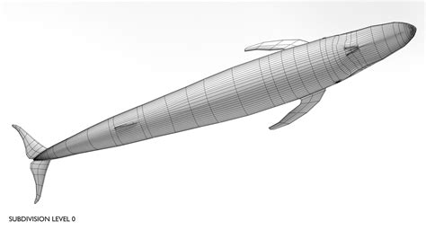 Blue Whale 3D Model $149 - .3ds .dae .obj .fbx .blend - Free3D