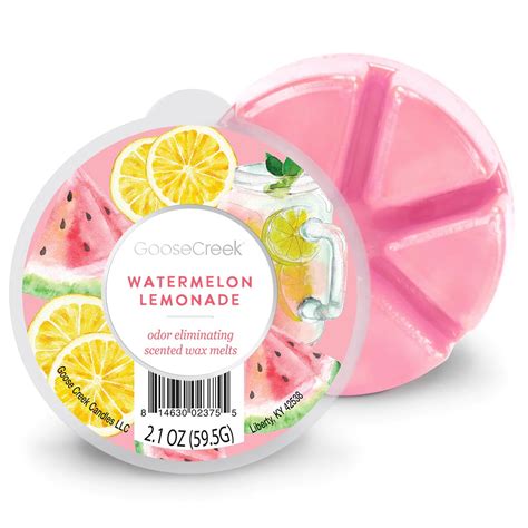 Watermelon Lemonade Wachsmelt 59g 6 45