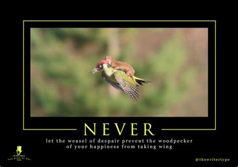 Weasel Rides Woodpecker Here Are The 7 Best Weaselpecker Memes