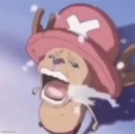 Chopper Crying Imgflip