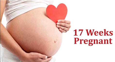 17 weeks Pregnant symptoms, Belly, Ultrasound and With Twins