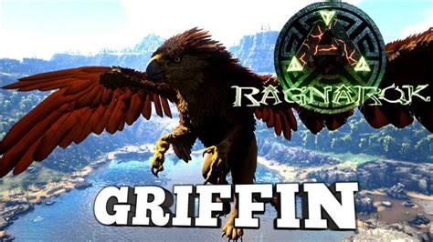 Taming A Griffin Ark Survival Evolved Ragnarok Youtube