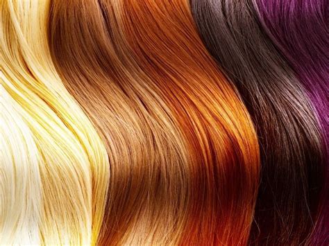 Los Distintos Tipos De Coloraciones Para El Cabello Eryka Cosmetics