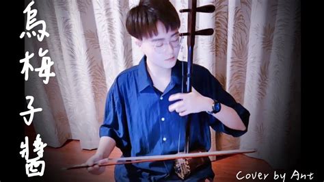 李榮浩《烏梅子醬》二胡｜erhu【cover By 螞蟻 Ant H 】 Youtube