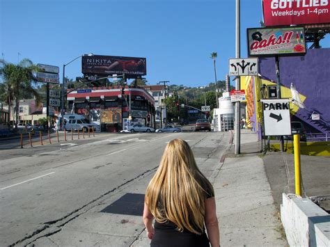 The Bell Curve of Life: Hollywood: Sunset Blvd