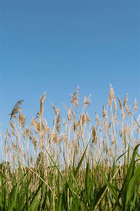 Hikaru+Nagi+Photo Photos, Download The BEST Free Hikaru+Nagi+Photo