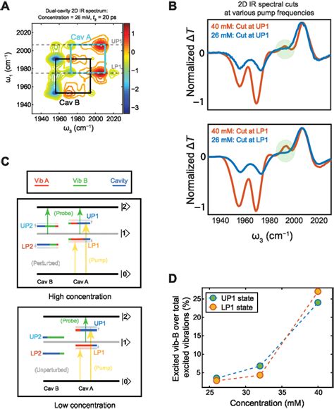 2d Ir Spectrum Of Dual Cavity Polaritons At Small Rabi Splitting A