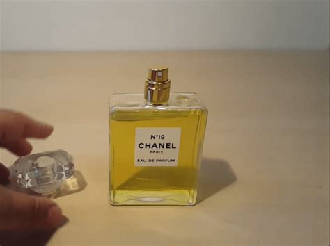 Chanel No19 Edp 50ml Lamoon