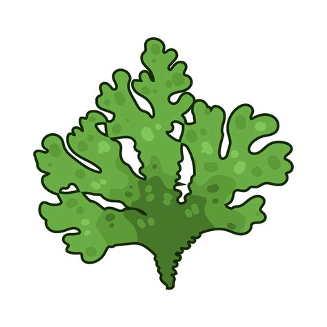 Illustration of seaweed 48688434 Vector Art at Vecteezy