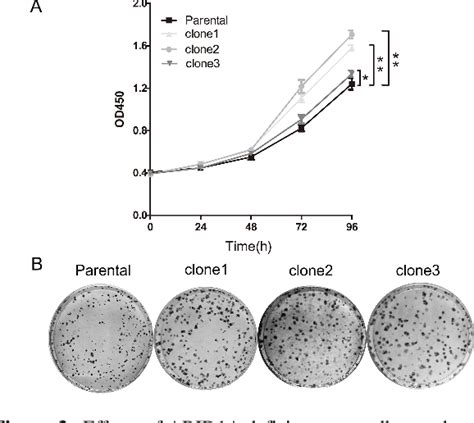 Figure 3 From Crisprcas9 Mediated Gene Knockout Of Arid1a Promotes