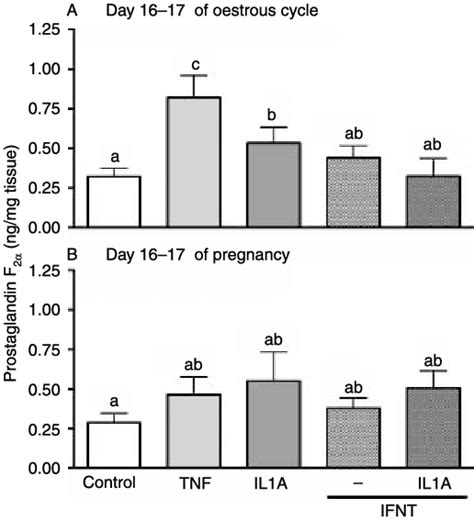 PGF 2a Production By Bovine Endometrial Tissue From Cows On Days 16 17