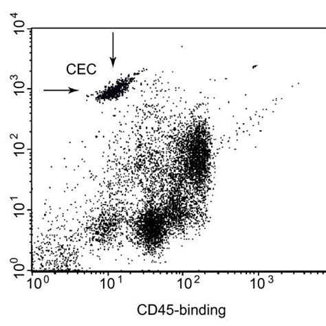 Flow Cytometric Detection Of Circulating Endothelial Cells In