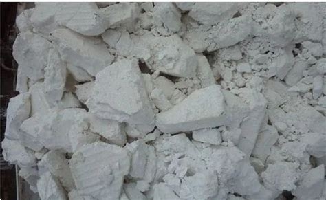 Magnesium Carbonate Heavy Basic At Best Price In Bhavnagar By