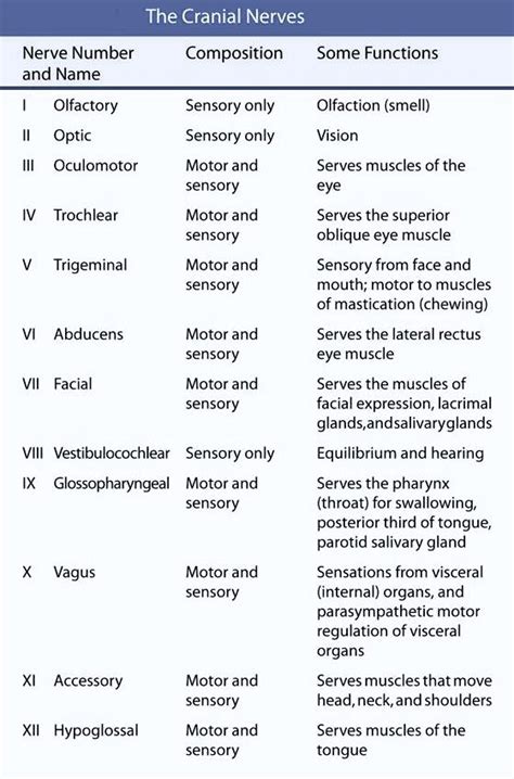 How To Test Cranial Nerves 1 12