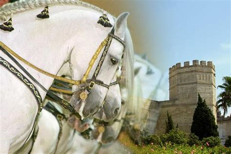 Jerez Historic Guided Tour With Horse Show: Triphobo