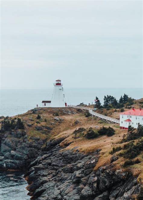 Bay Of Fundy Explorenb Tourism New Brunswick