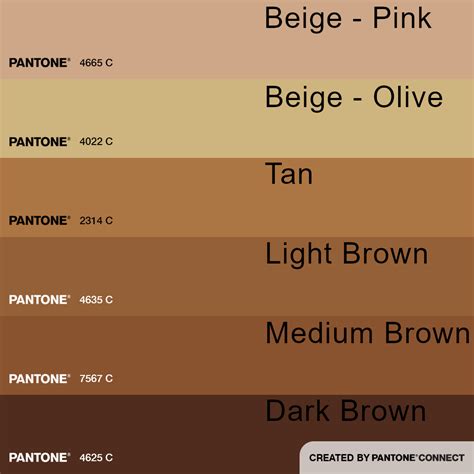 Pantone Color Chart Brown