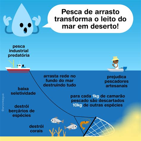 Pesca de arrasto e vida marinha ameaçada arvoreagua