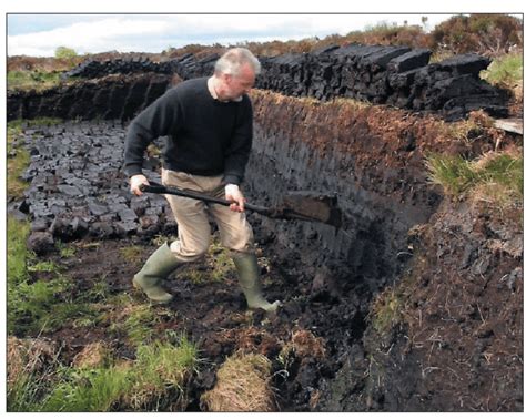 Peat Moss Harvest