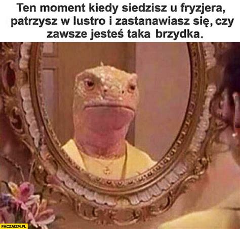 Brzydkie Memy Paczaizm Pl Memy Polityczne Mieszne Obrazki