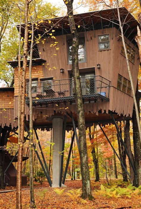 Suspended In Treetops And Canopied In Leafy Branches A Treehouse Is