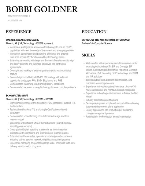 Vp Technology Resume Samples Velvet Jobs