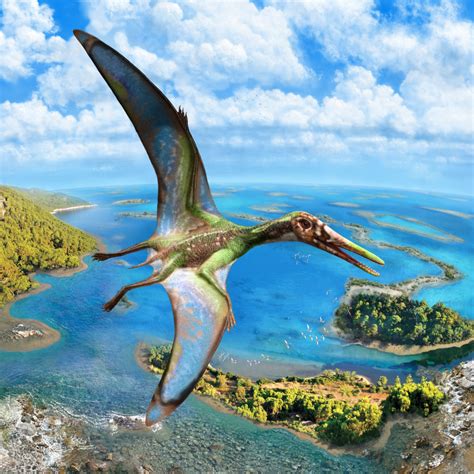 Physics Meets Paleontology The Hotly Debated Mechanics Of Pterosaur