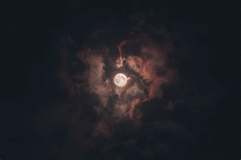 30,000+ Free Luna Star & Luna Images - Pixabay