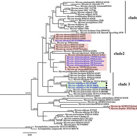 Bayesian Tree Inferred From Partial Its And Lsu Sequences Showing